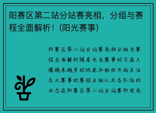 阳赛区第二站分站赛亮相，分组与赛程全面解析！(阳光赛事)