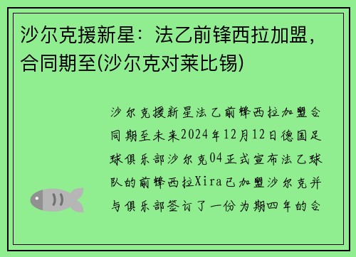 沙尔克援新星：法乙前锋西拉加盟，合同期至(沙尔克对莱比锡)