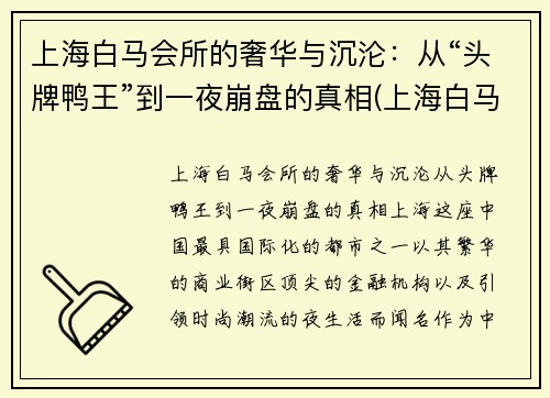 上海白马会所的奢华与沉沦：从“头牌鸭王”到一夜崩盘的真相(上海白马会所事件)